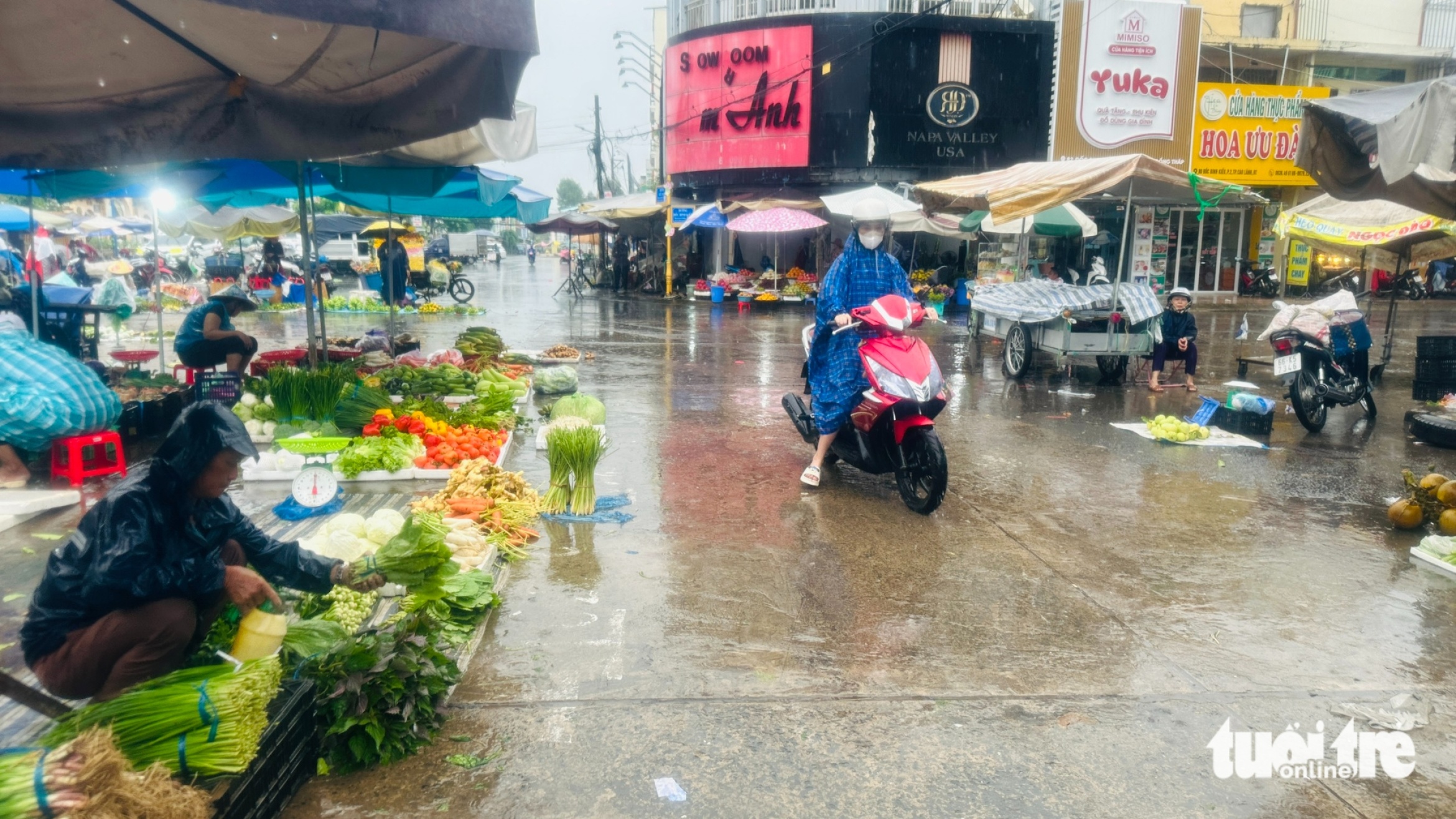 同塔省多地降雨量超过50毫米,河岸滑坡导致4栋房屋倒塌